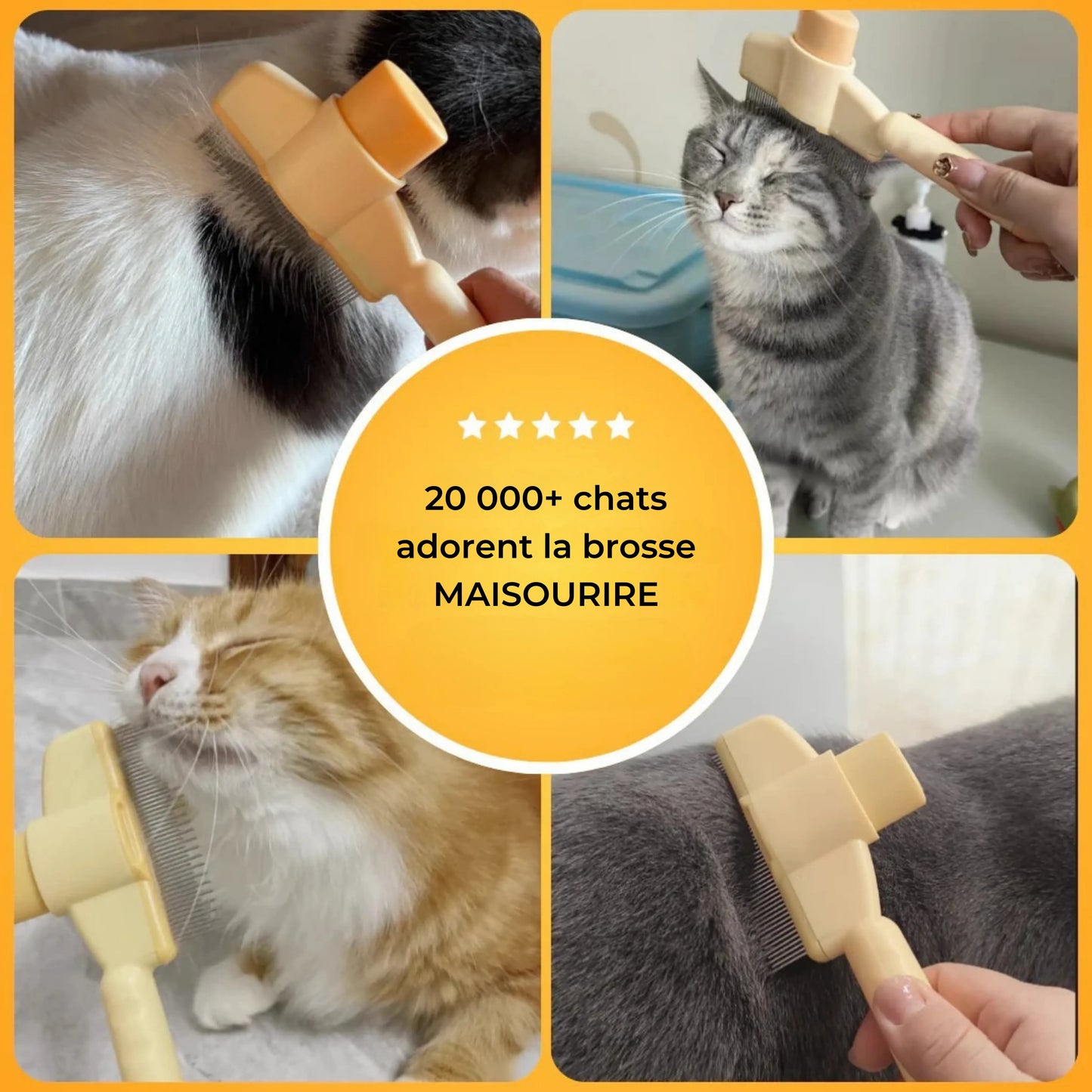 Brosse pour chat – Pour un pelage doux et sain