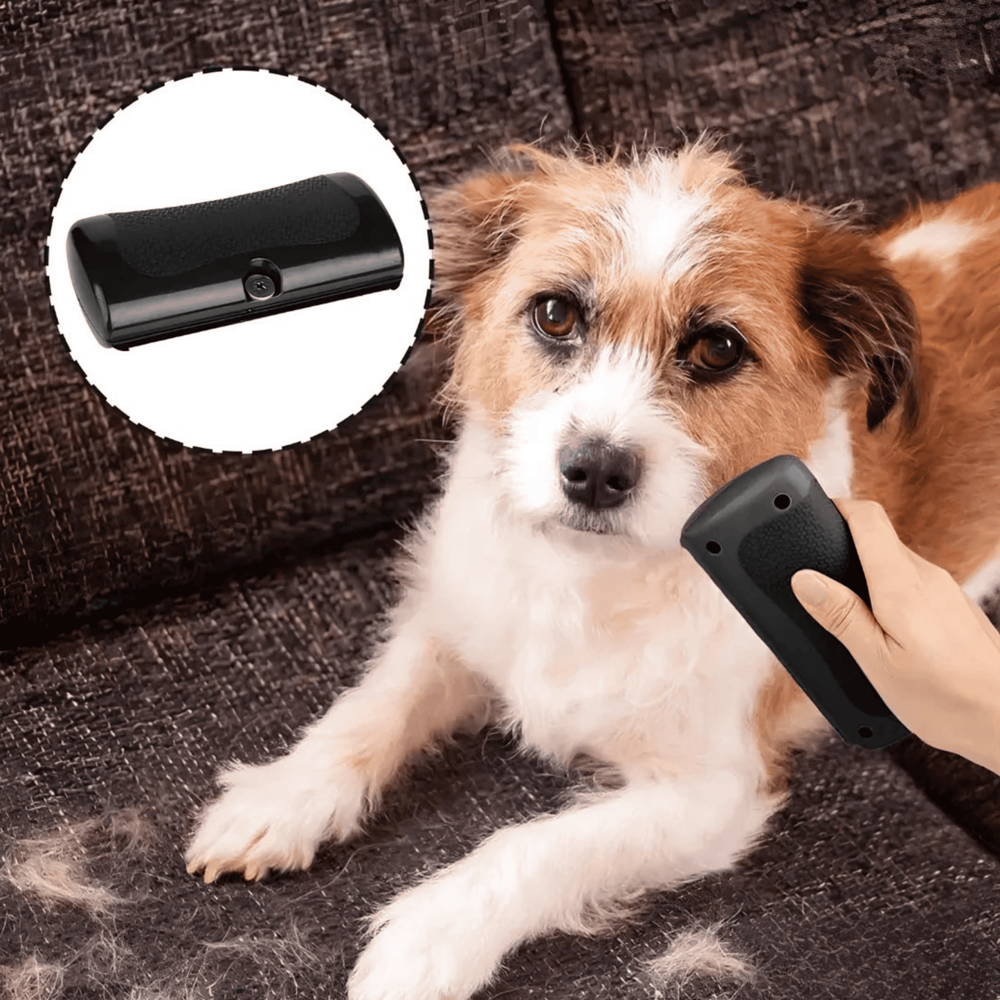 Brosse Miracle – Une maison propre, un chien heureux