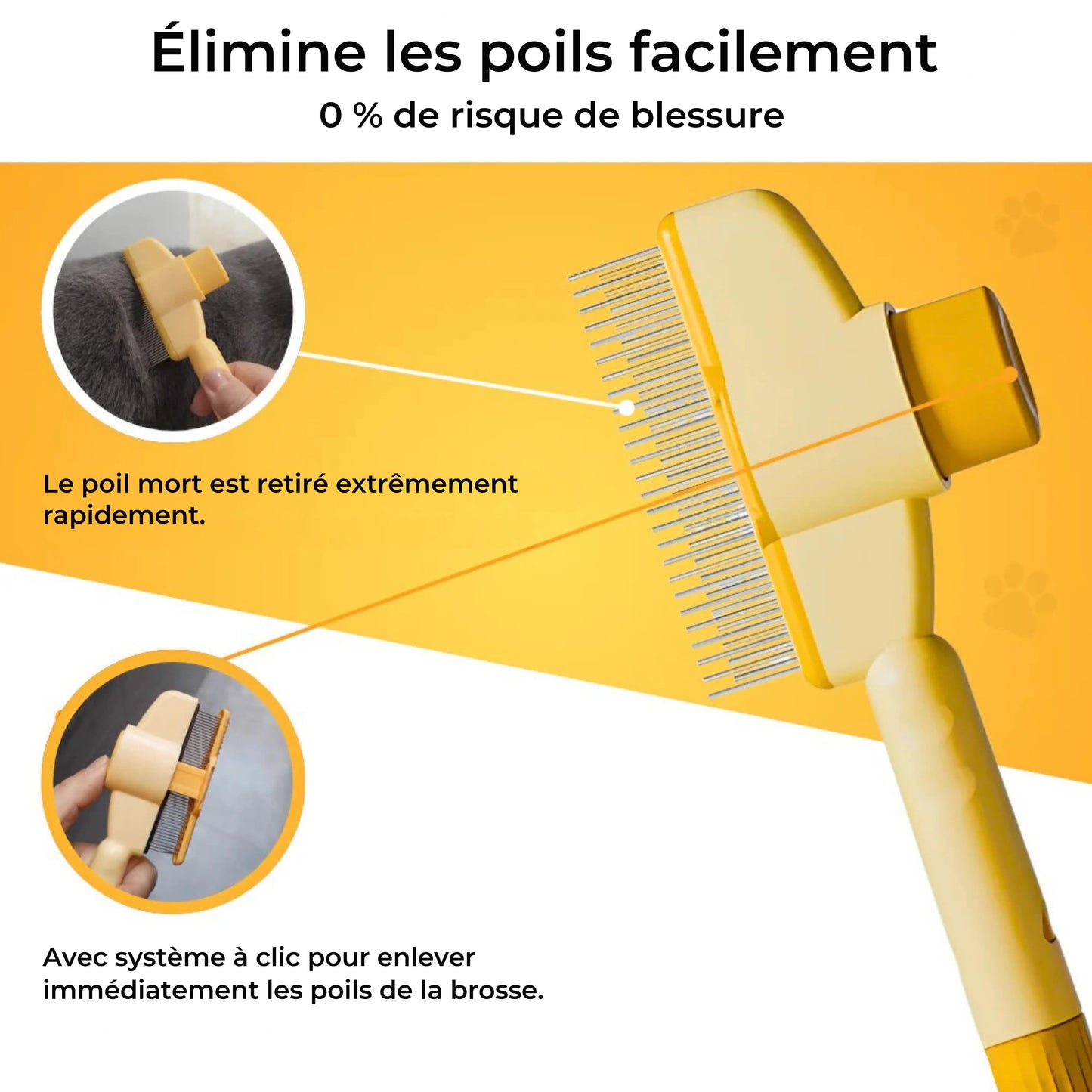 Brosse pour chat – Pour un pelage doux et sain