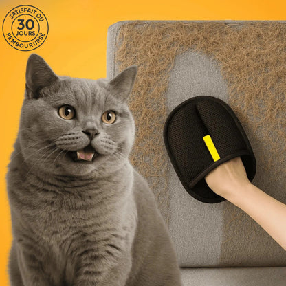 CleanPoils – Vivez l’amour de vos animaux sans les poils