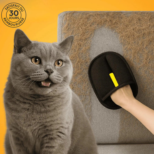 CleanPoils – Vivez l’amour de vos animaux sans les poils