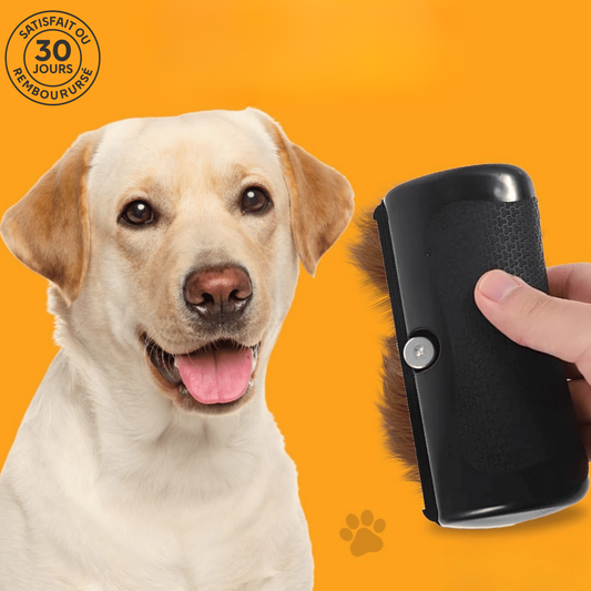 Brosse Miracle – Une maison propre, un chien heureux