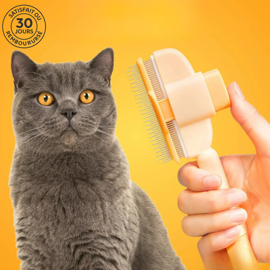 Brosse pour chat – Pour un pelage doux et sain