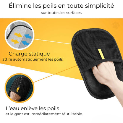 CleanPoils – Vivez l’amour de vos animaux sans les poils