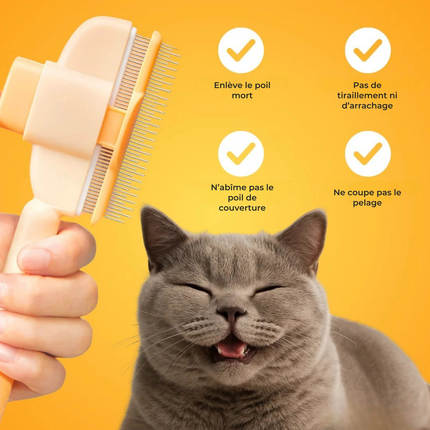 Brosse pour chat – Pour un pelage doux et sain