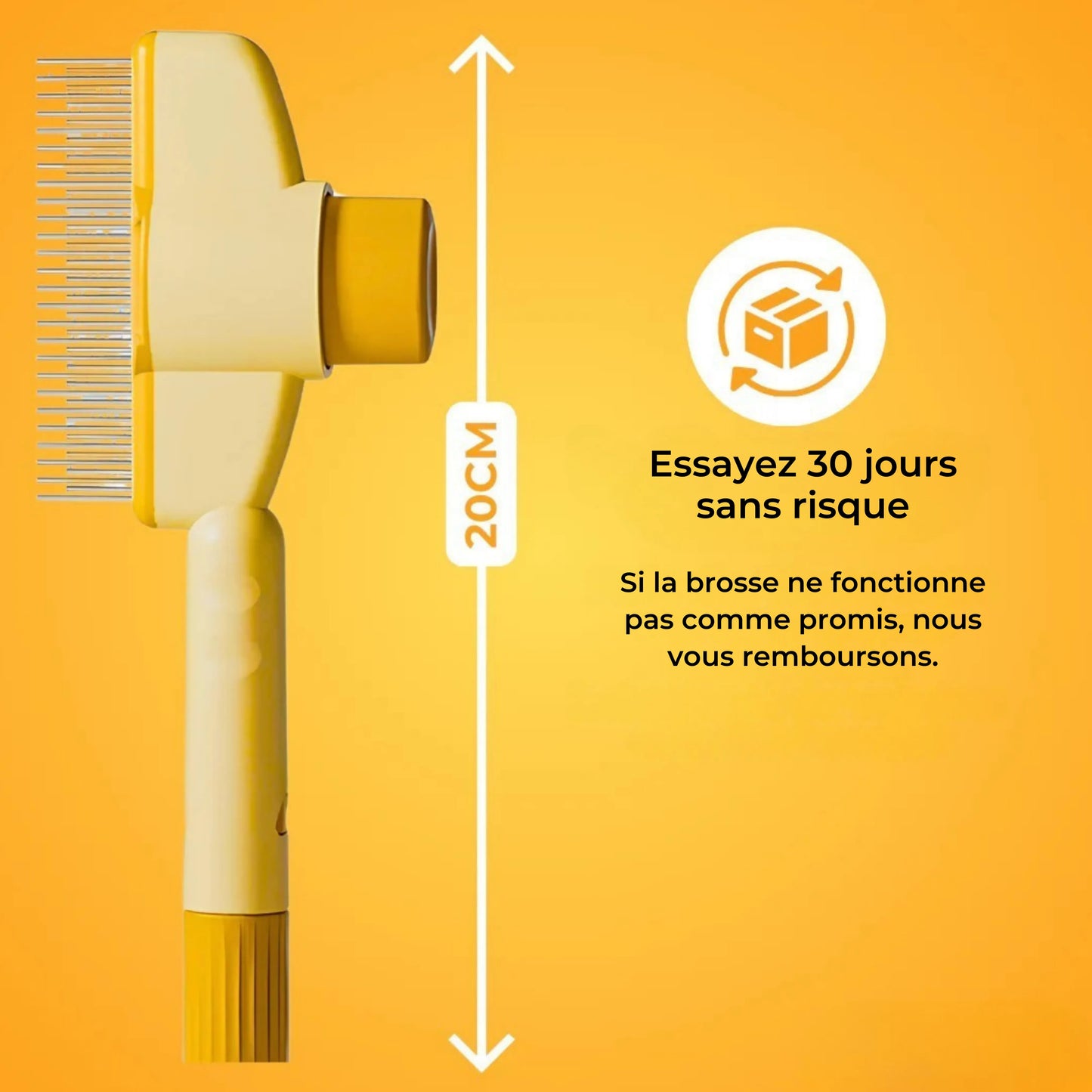 Brosse pour chat – Pour un pelage doux et sain