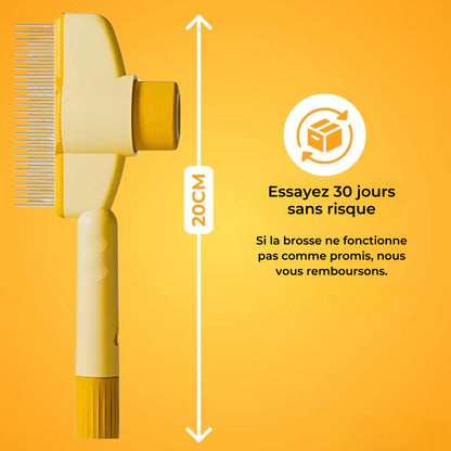 Brosse pour chat – Pour un pelage doux et sain