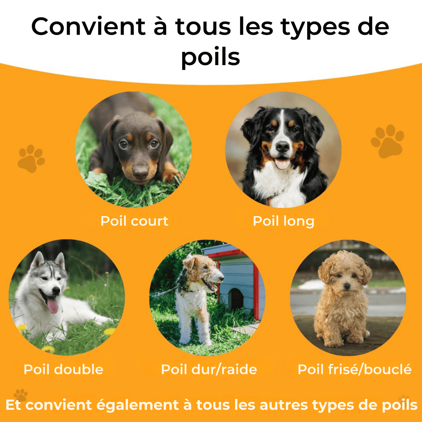Brosse Miracle – Une maison propre, un chien heureux