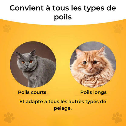 Brosse pour chat – Pour un pelage doux et sain