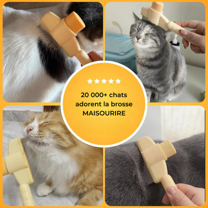 Brosse pour chat – Pour un pelage doux et sain