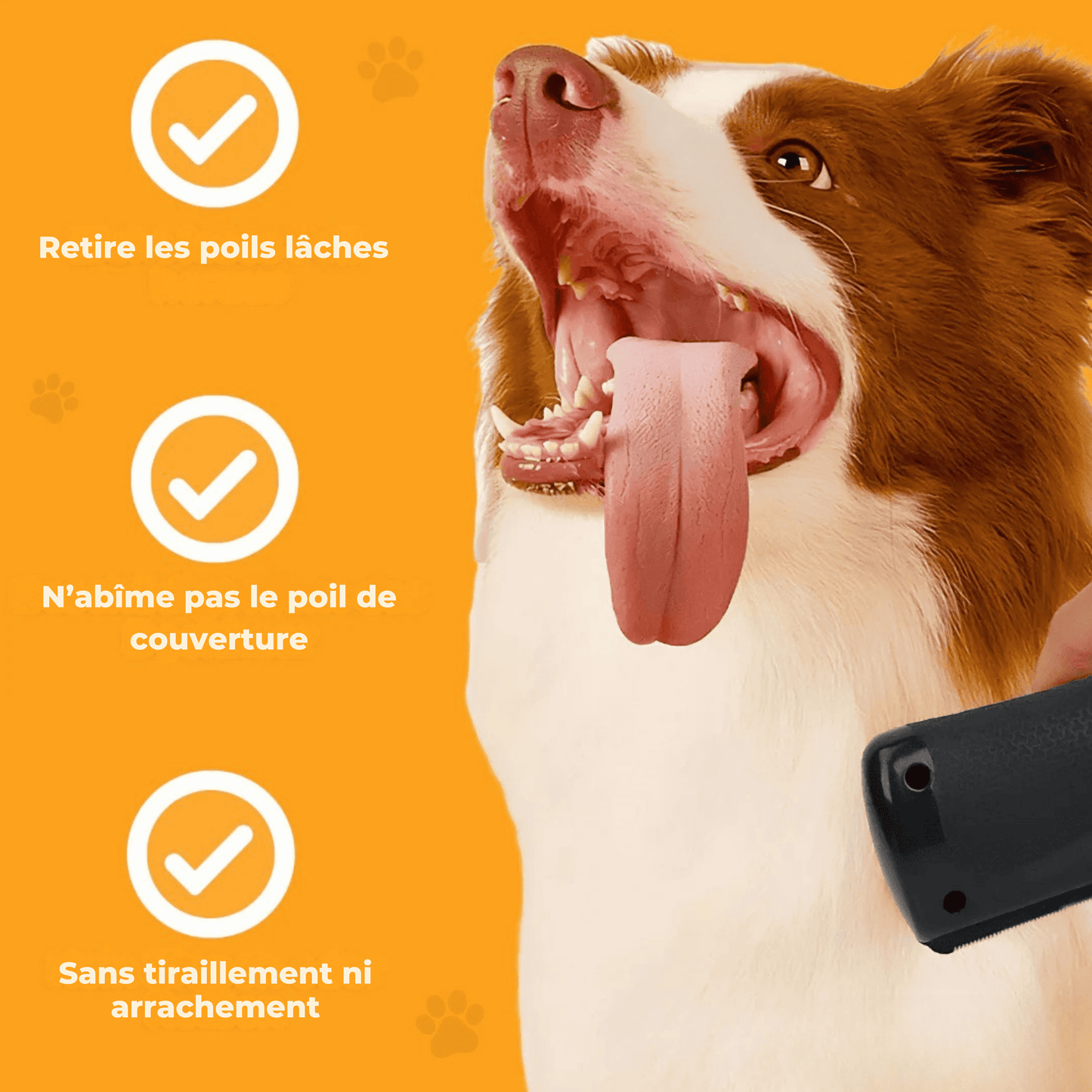 Brosse Miracle – Une maison propre, un chien heureux