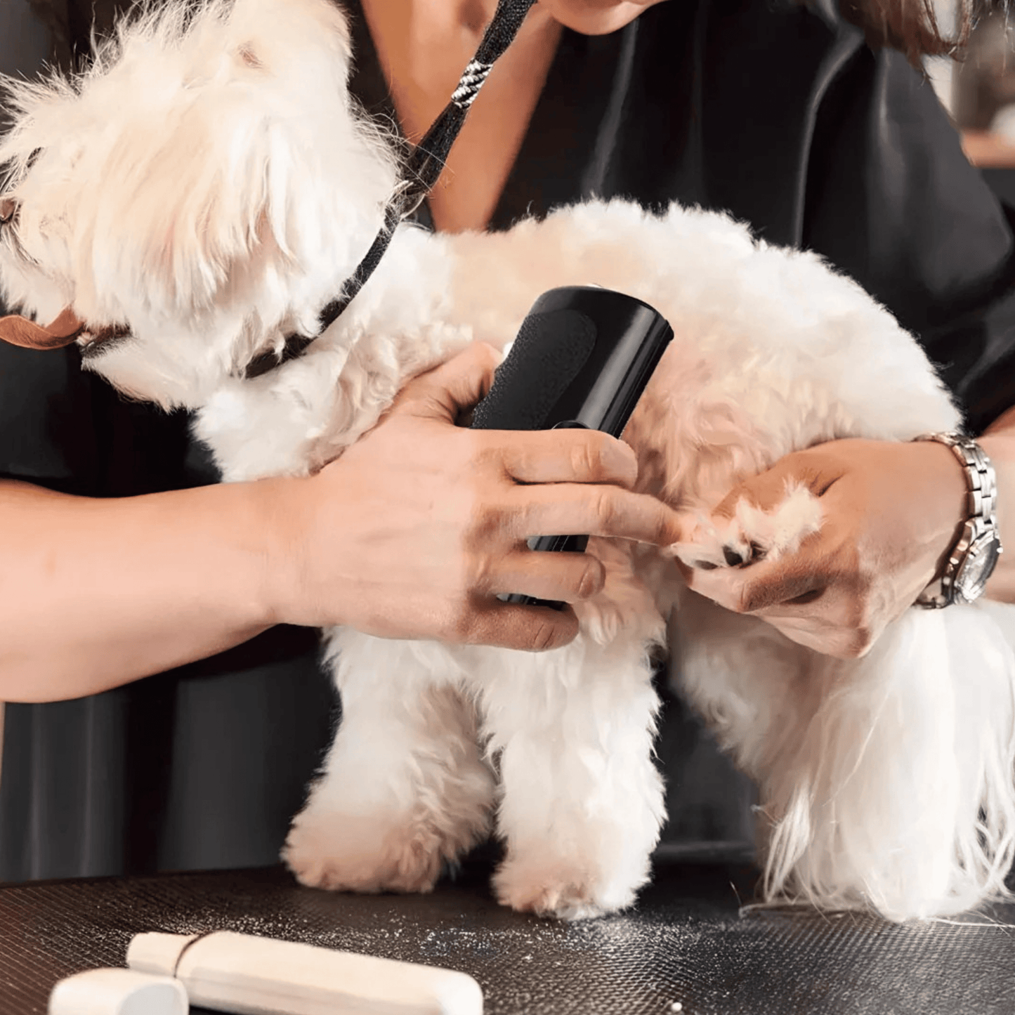 Brosse Miracle – Une maison propre, un chien heureux