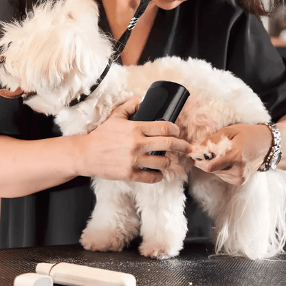 Brosse Miracle – Une maison propre, un chien heureux
