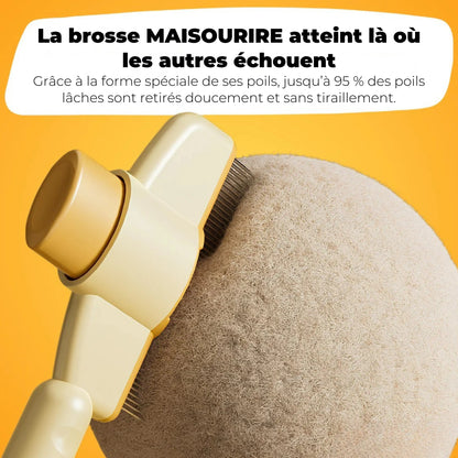 Brosse pour chat – Pour un pelage doux et sain