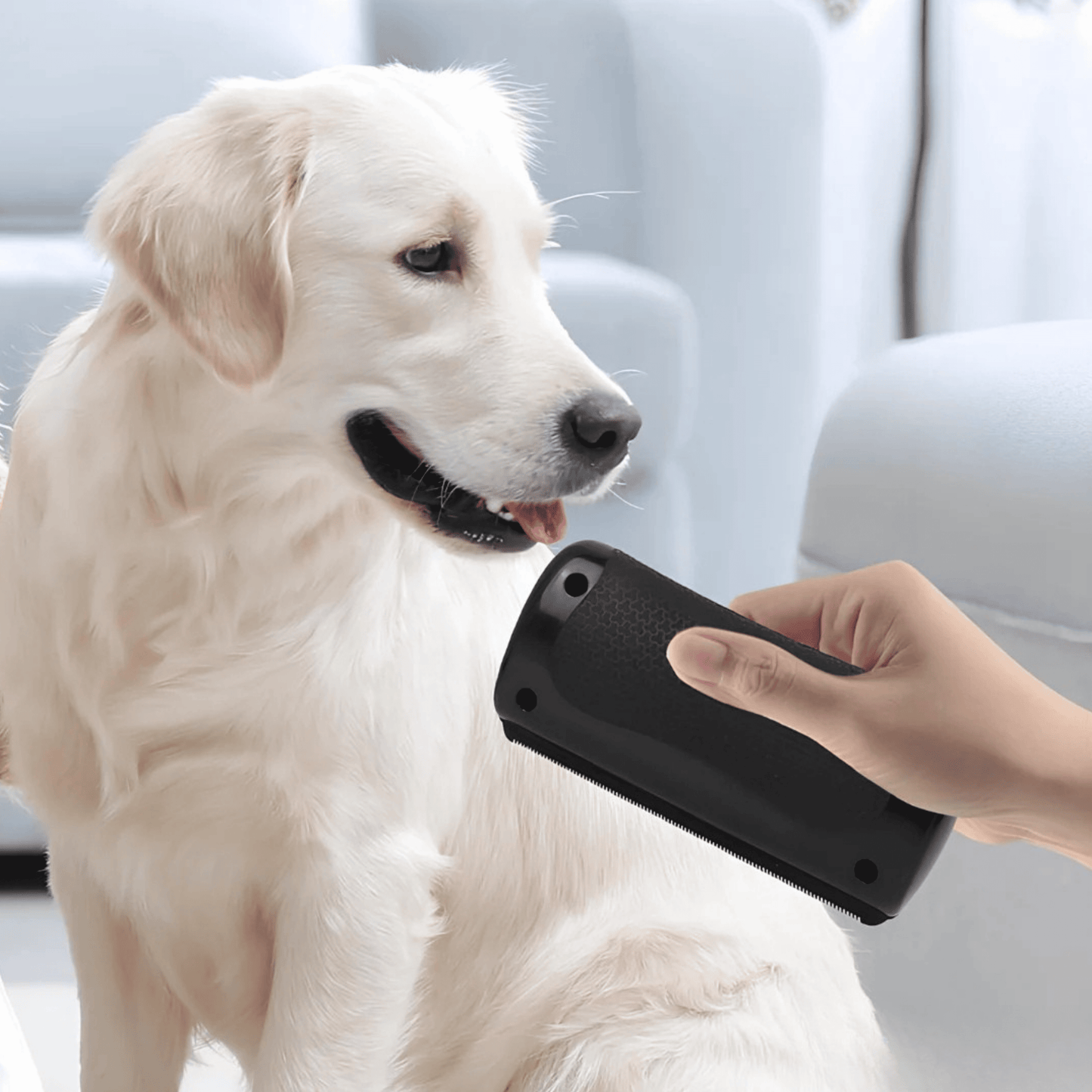 Brosse Miracle – Une maison propre, un chien heureux